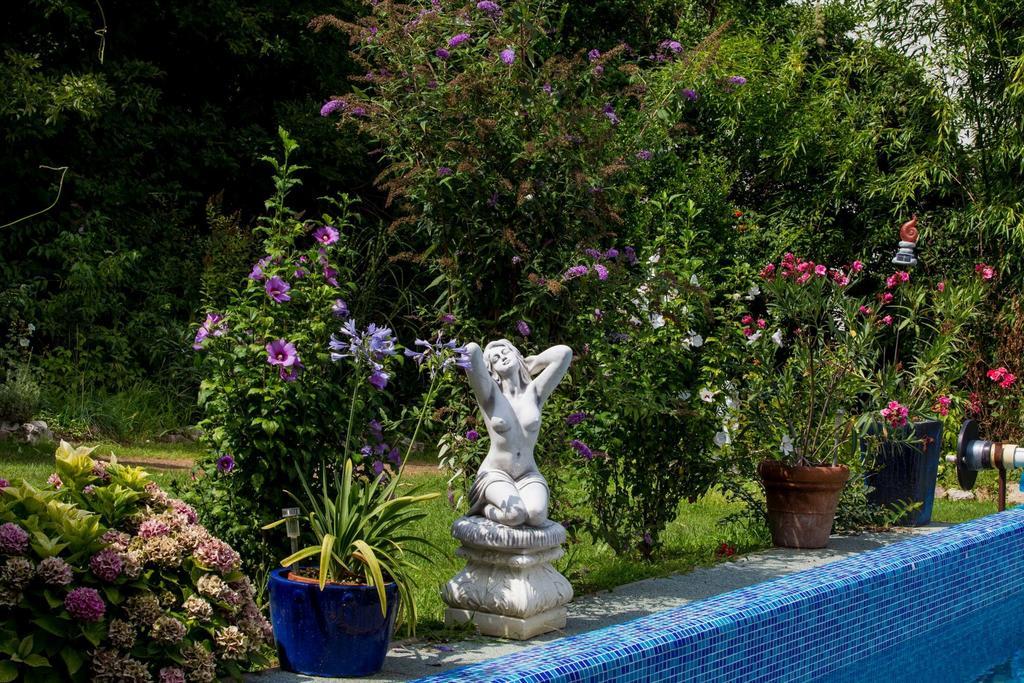 Villa Sonnenschein Хевиз Номер фото